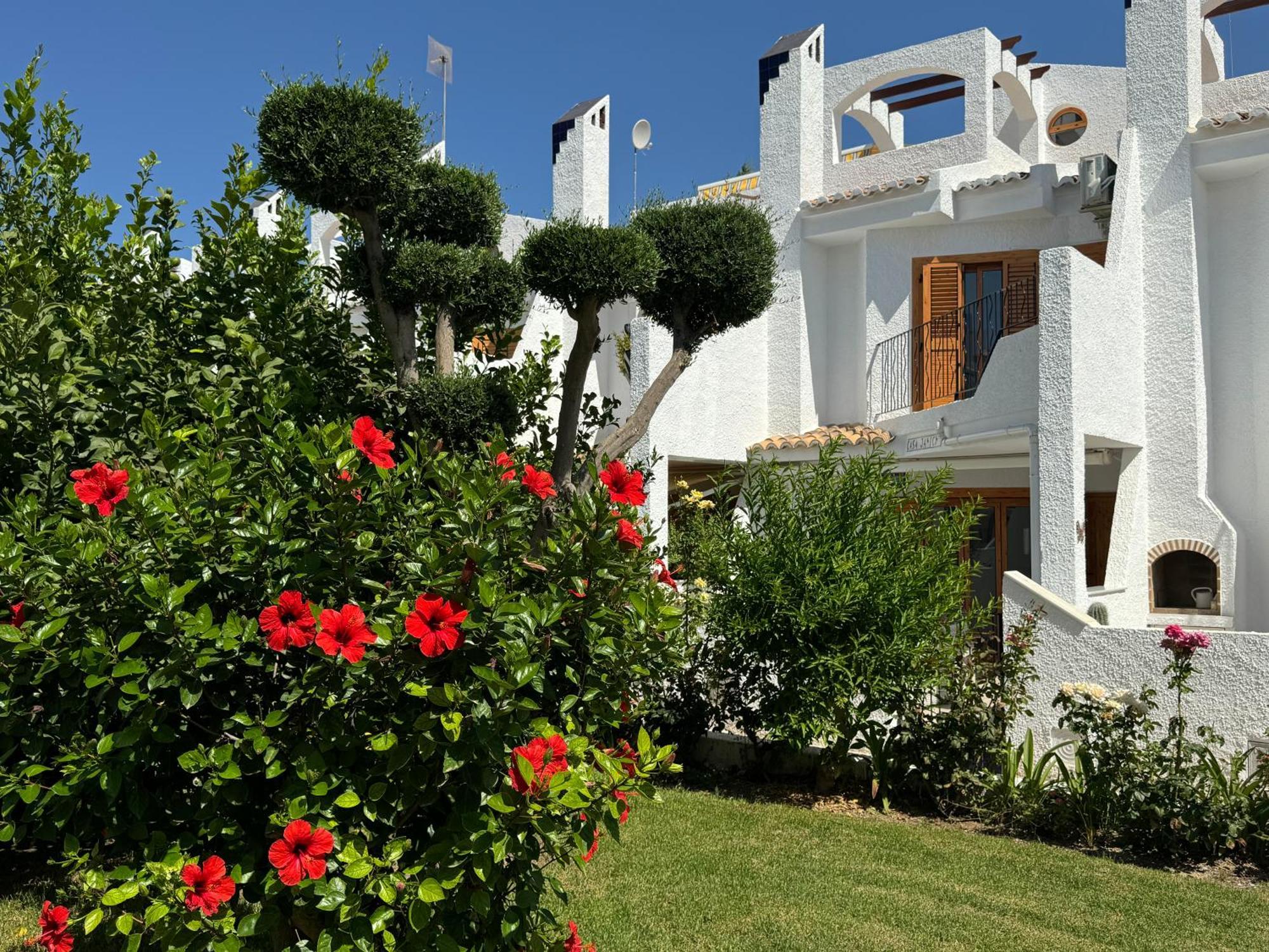 Contemporary House In Cabo Roig Holiday home